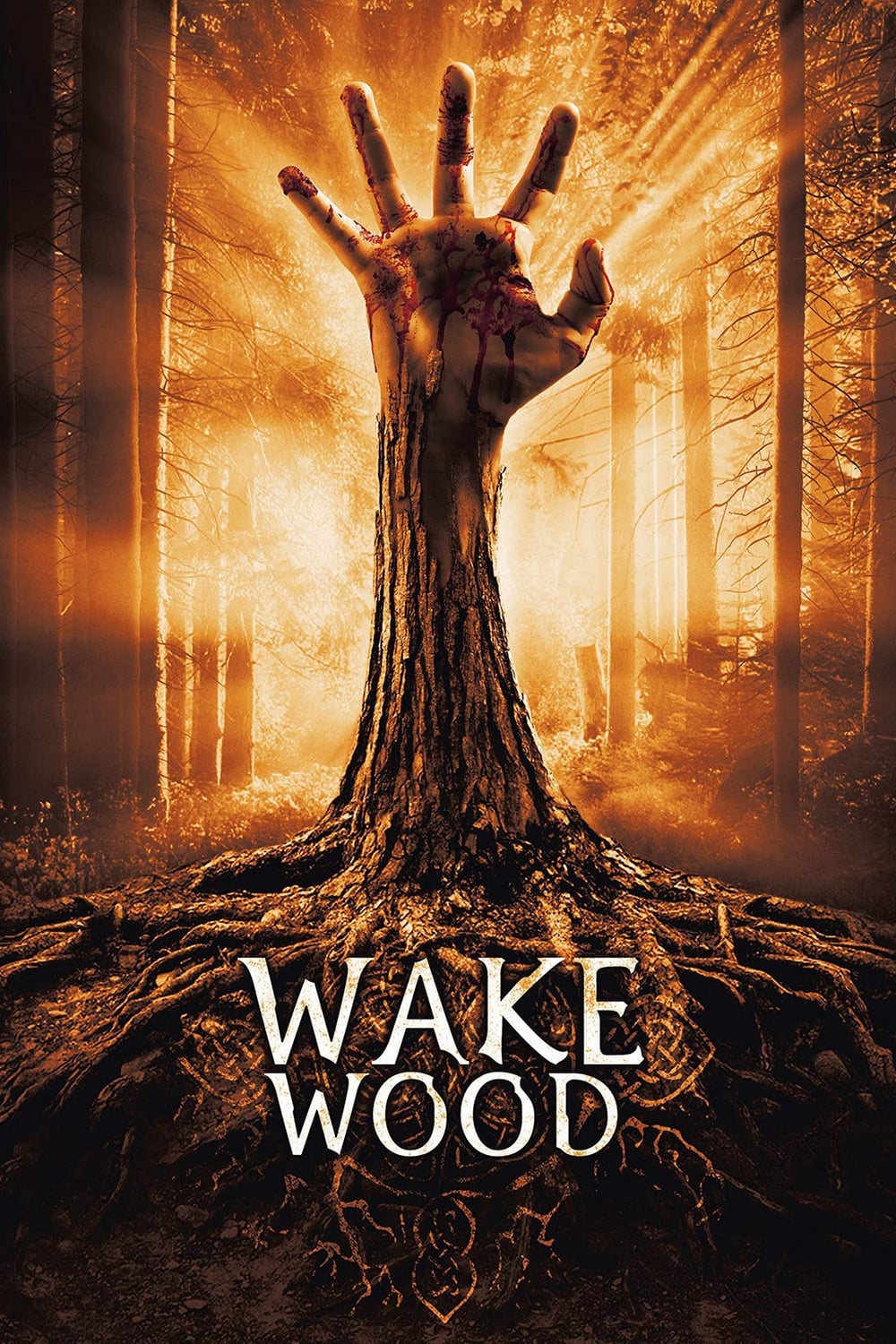 Постер Wake Wood